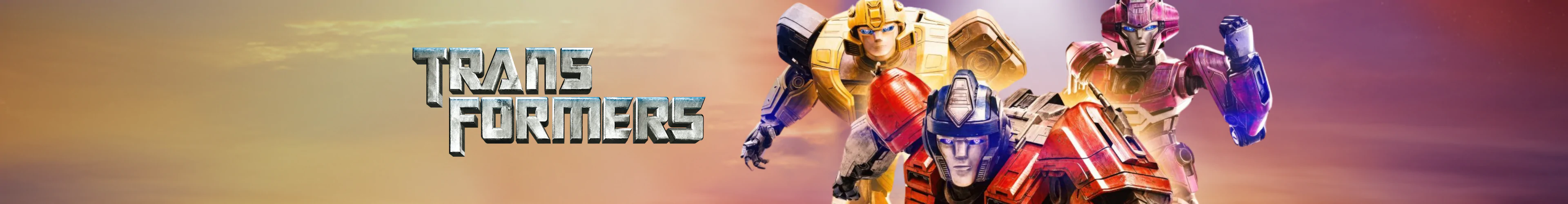 Transformers pribor banner