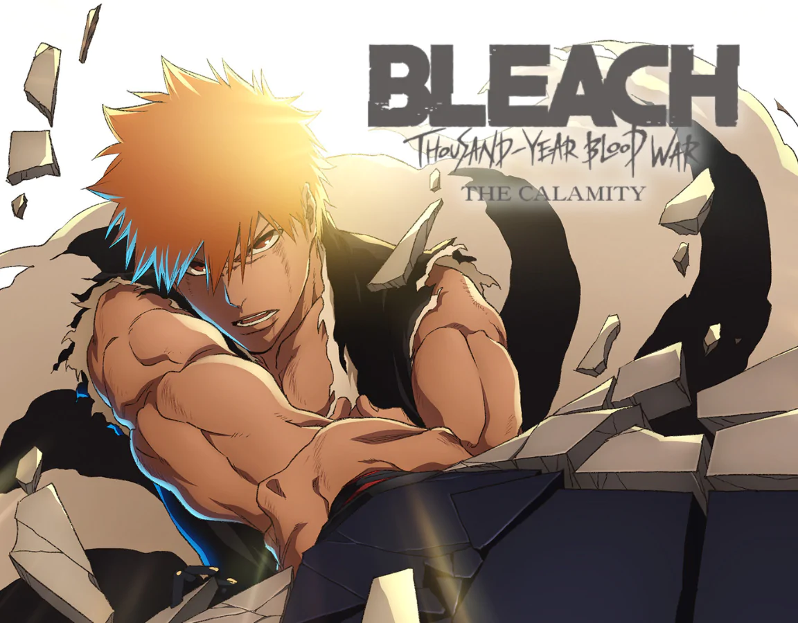 Bleach proizvodi banner