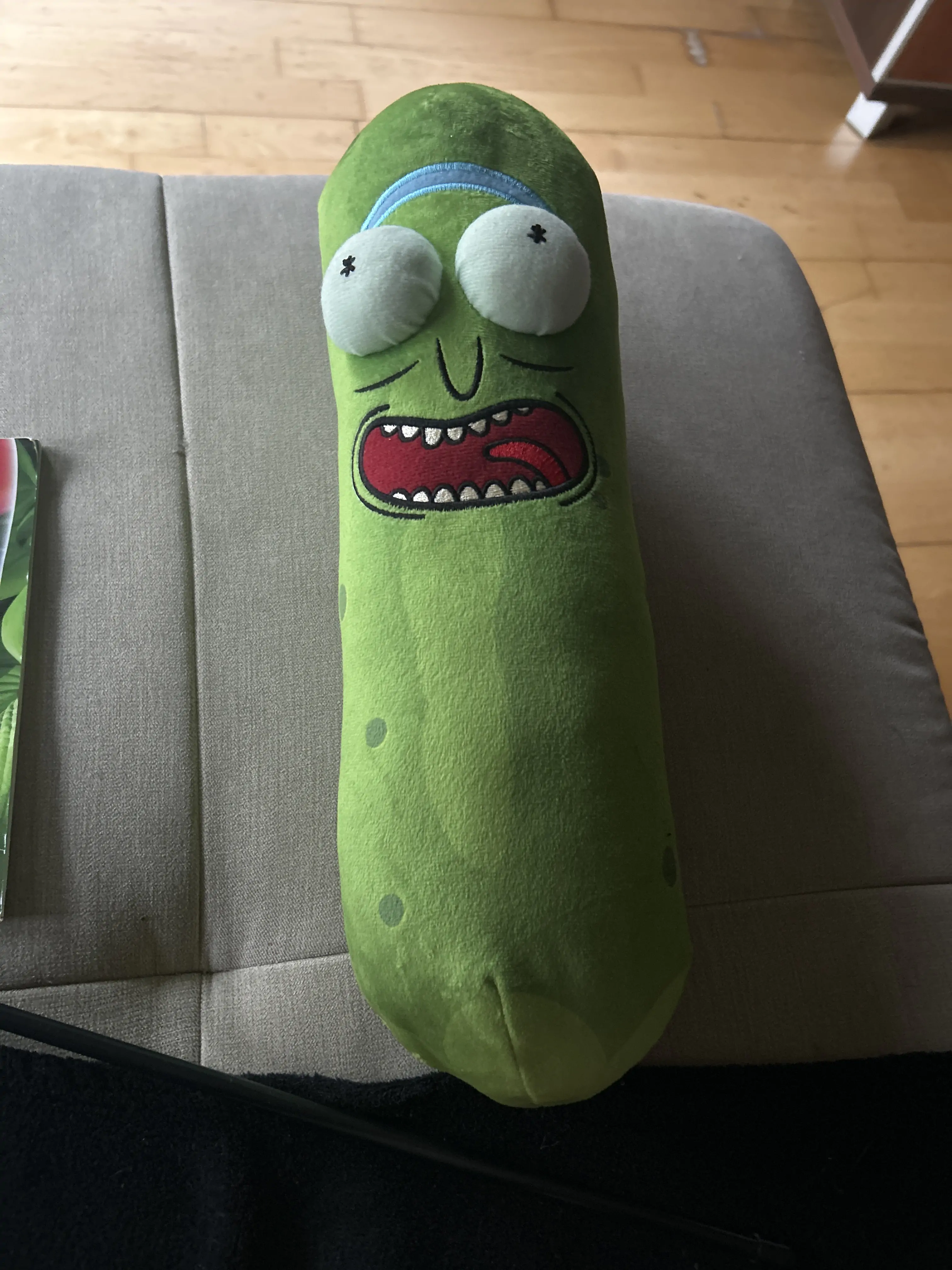Rick and Morty Pickle Rick plišana igračka 38 cm fotografija proizvoda