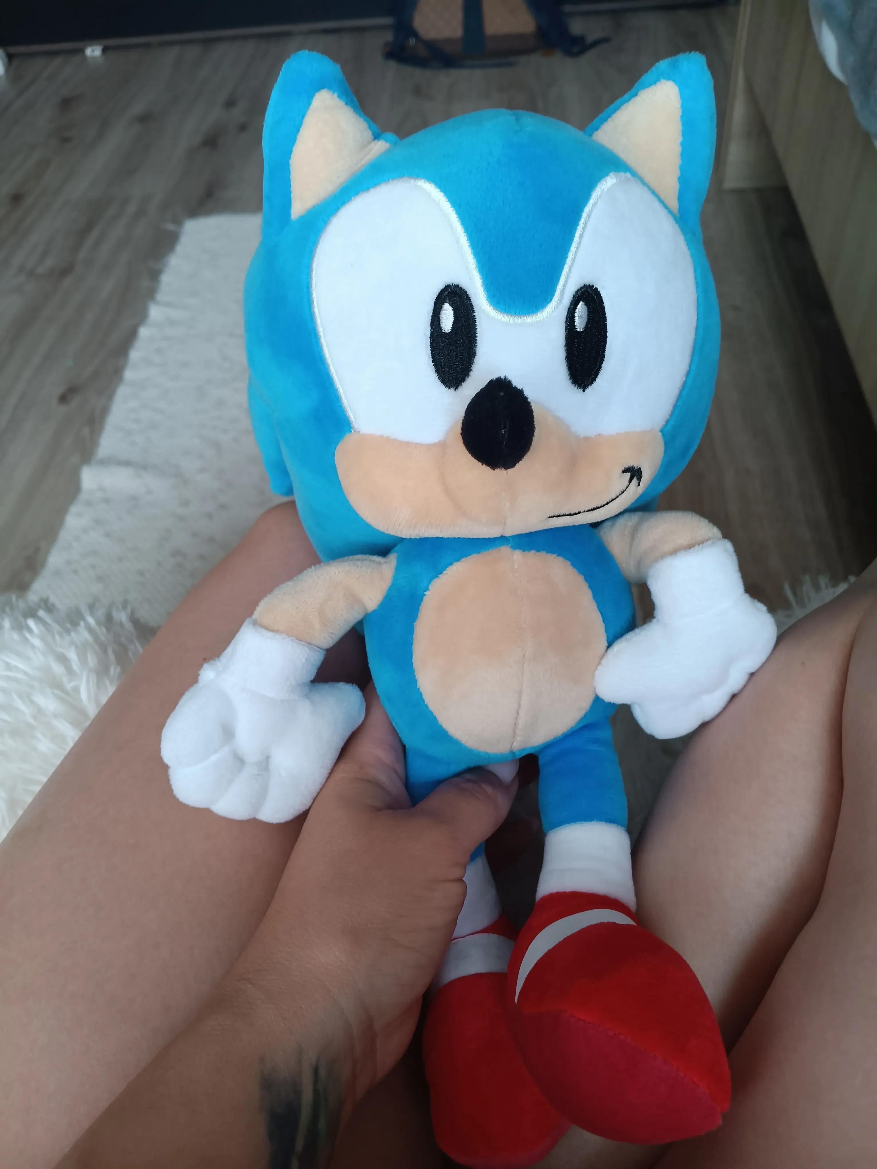 Sonic mekani plišana igračka 30cm fotografija proizvoda