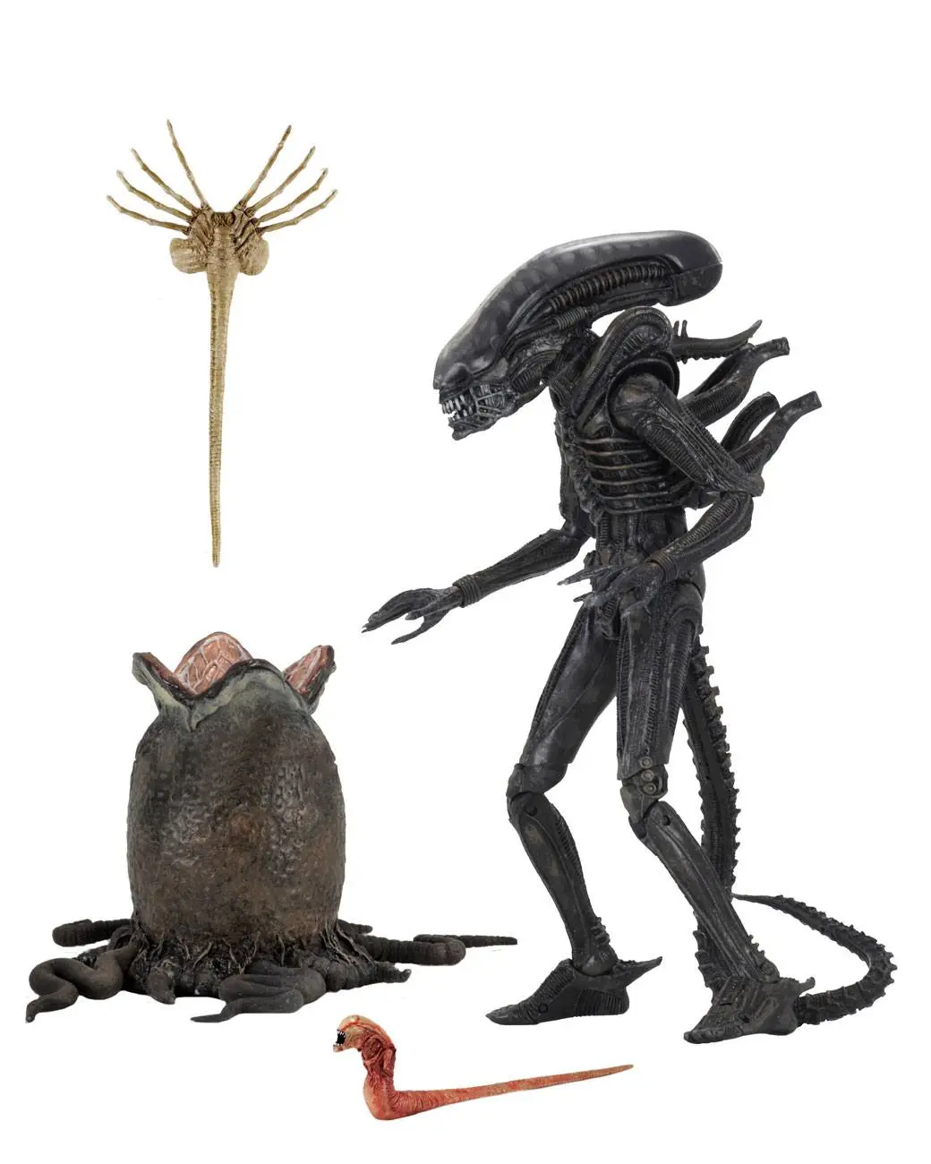 Alien 1979 akcijska figura Ultimate 40th Anniversary Big Chap 23 cm fotografija proizvoda