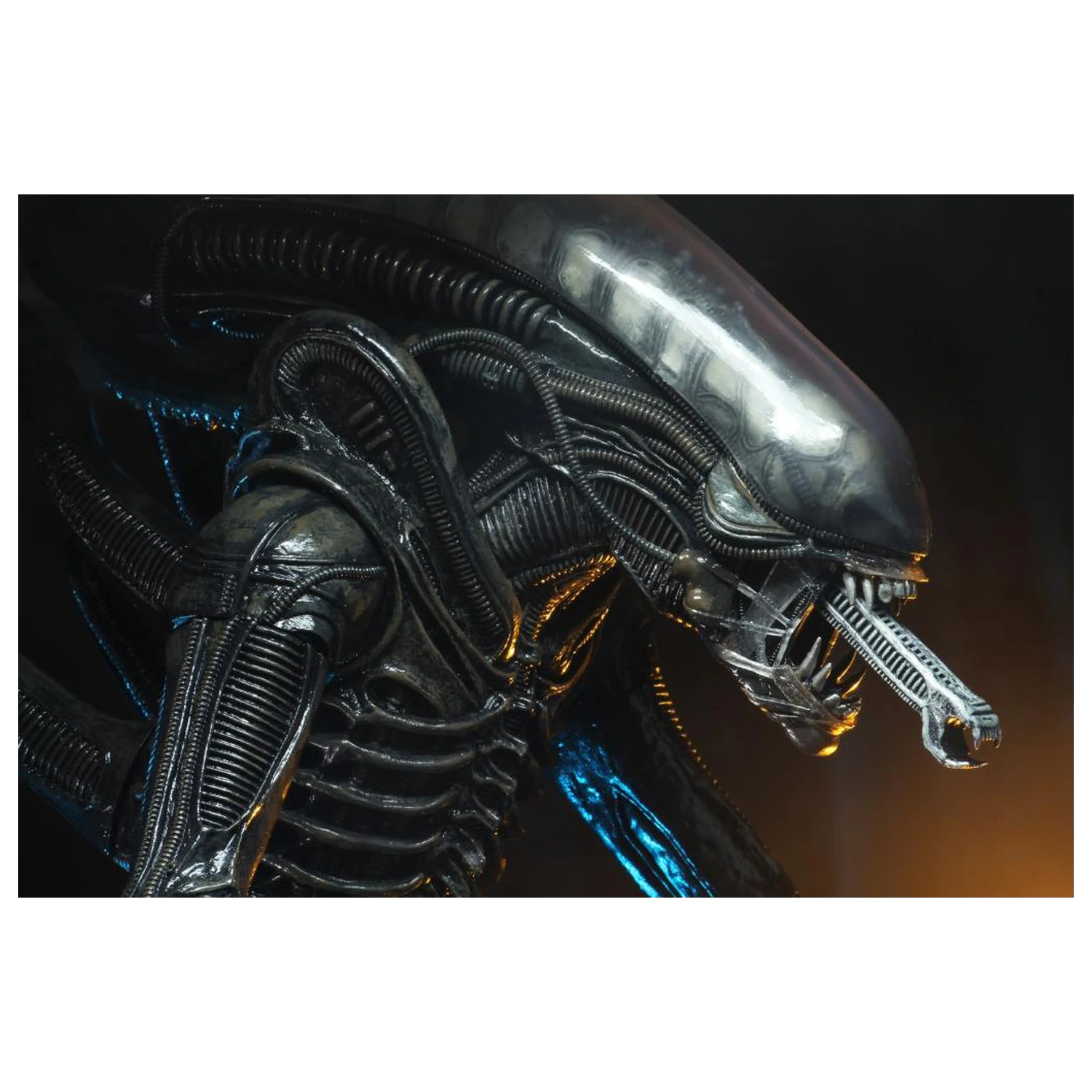 Alien Big Chap figura 1/4 55 cm fotografija proizvoda
