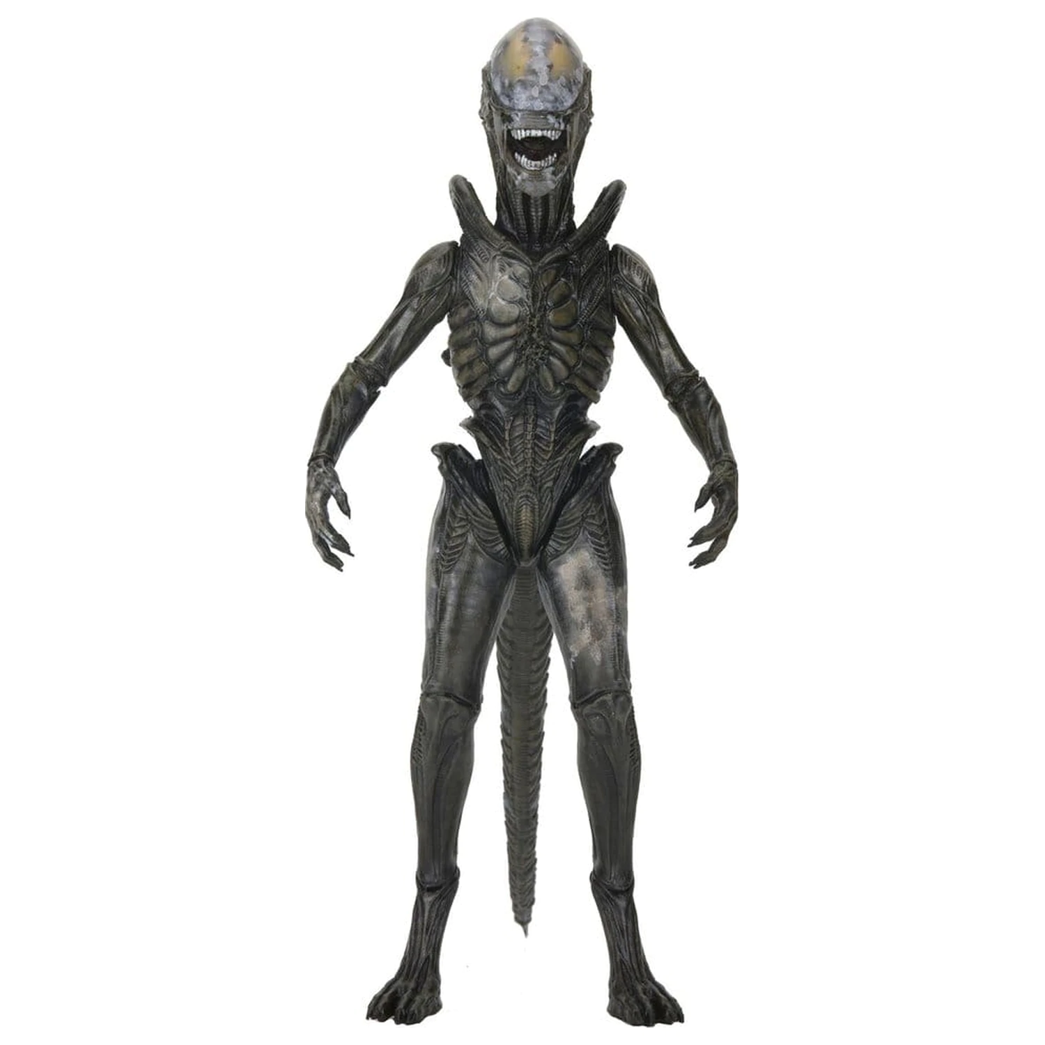 Alien: Earth Ultimate Akcijska figura Wendy's Xenomorph 18 cm fotografija proizvoda
