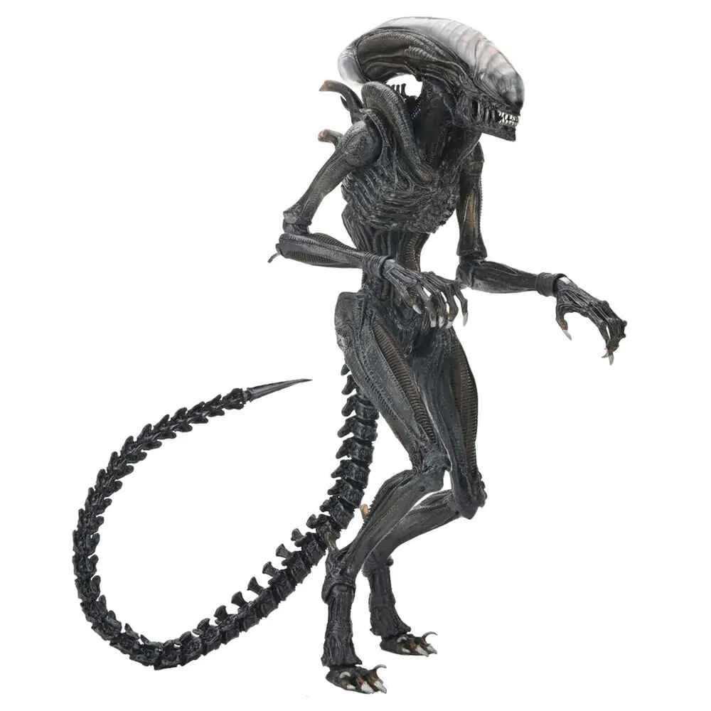 Alien Romulus Scorched Xnomorph Ultimate figura 23 cm fotografija proizvoda