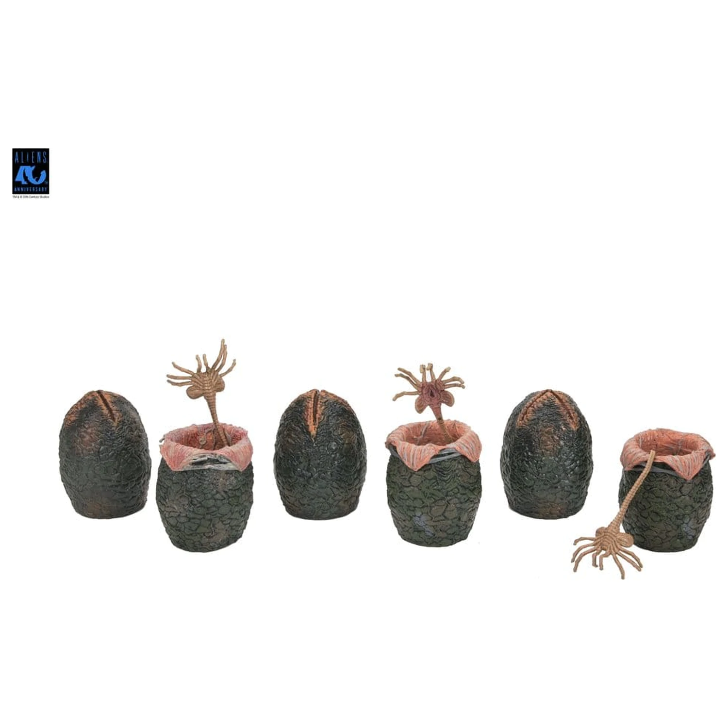 Aliens 6-Pack pakiranje pribora (kutija stranih jaja) (40. godišnjica) fotografija proizvoda
