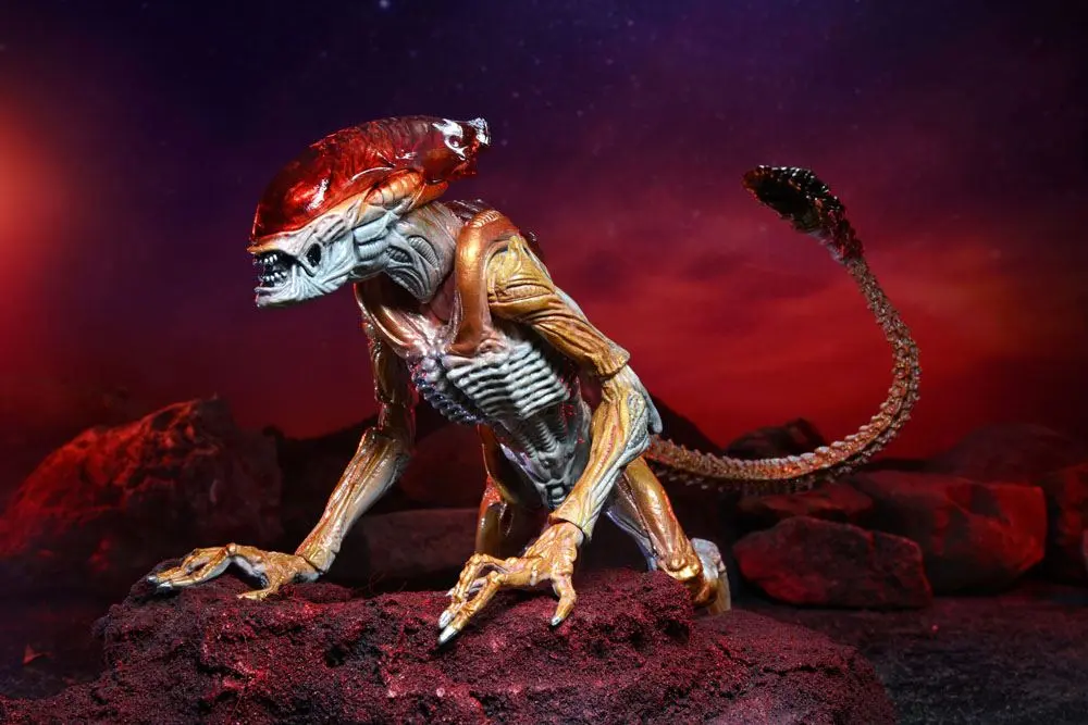 Aliens akcijska figura Panther Alien (Kenner Tribute) 23 cm fotografija proizvoda