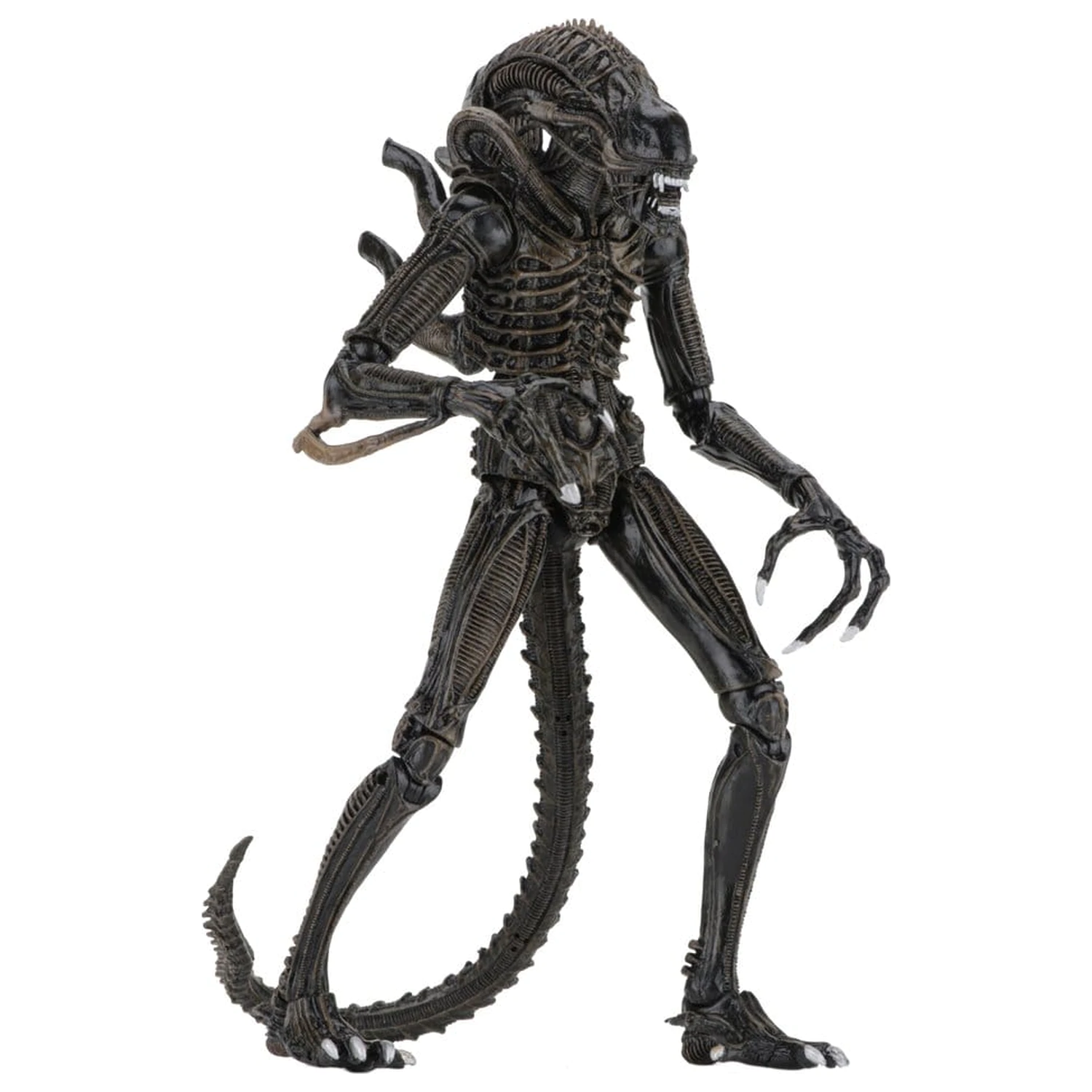 Aliens Ultimate Action Figura Warrior (1986) Brown 23 cm fotografija proizvoda