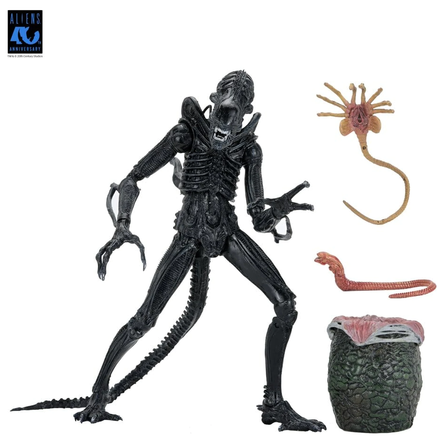 Aliens Ultimate Akcijska figura Warrior (1986) Xenomorph Black (40th Anniversary) 23 cm fotografija proizvoda