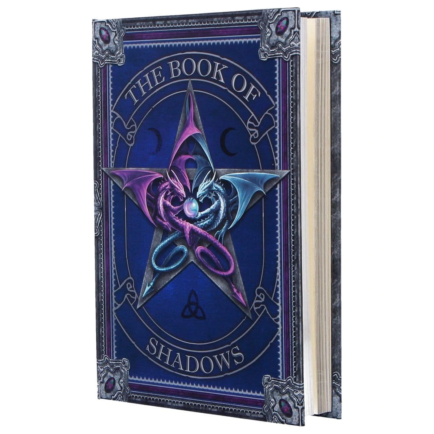 Anne Stokes Dnevnik The Book of Shadows A5 fotografija proizvoda