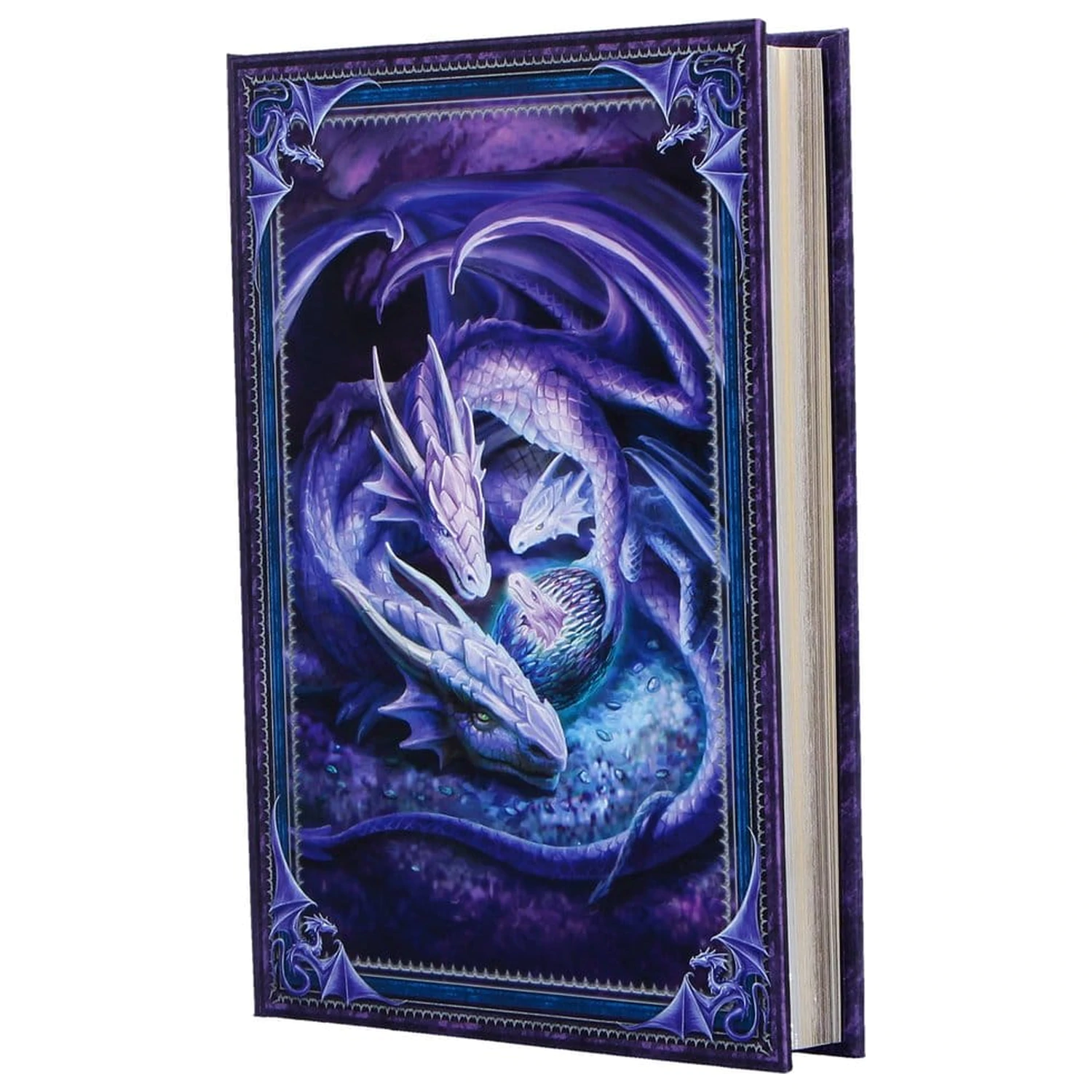 Anne Stokes Journal Welcome Hatchling A5 Bilježnica fotografija proizvoda