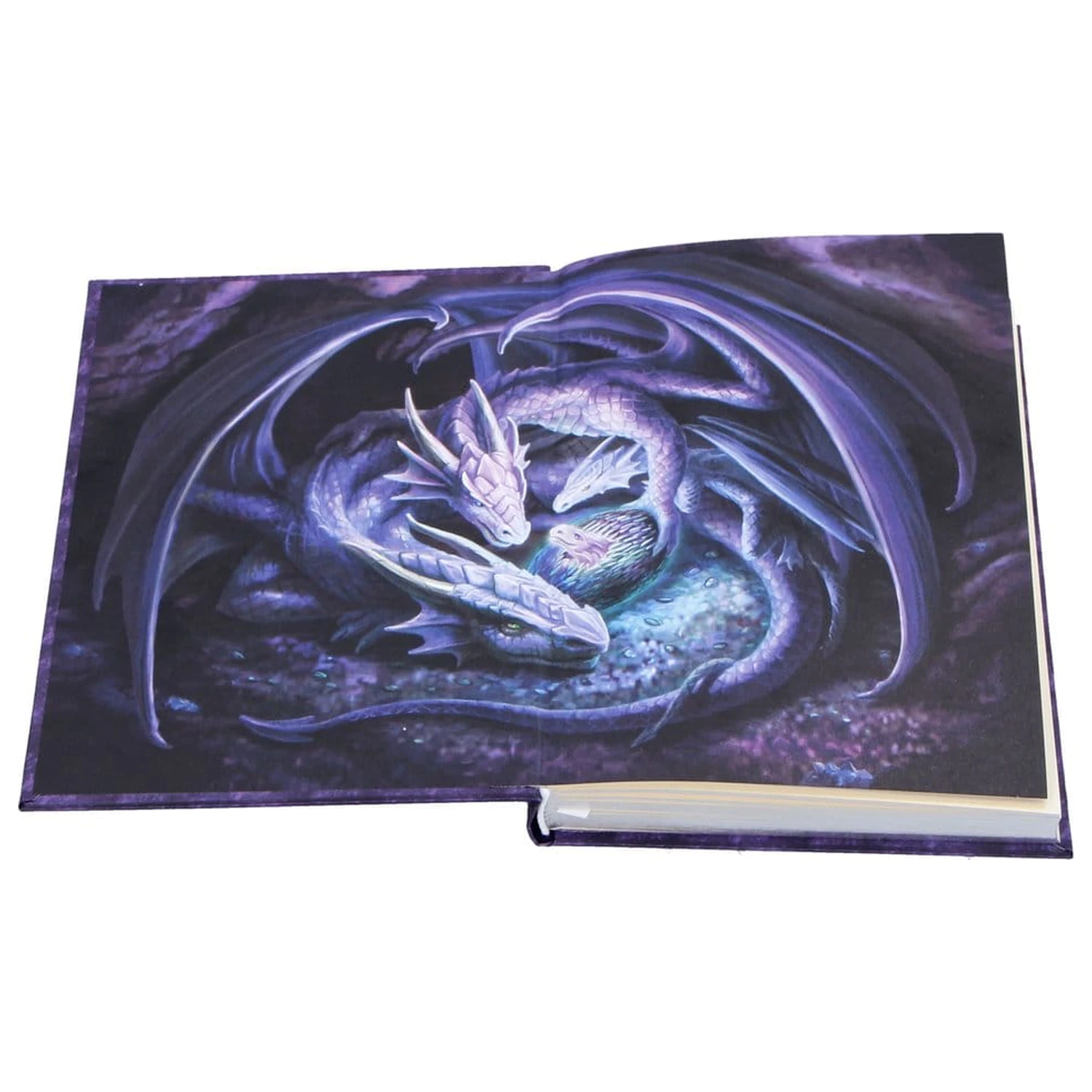 Anne Stokes Journal Welcome Hatchling A5 Bilježnica fotografija proizvoda