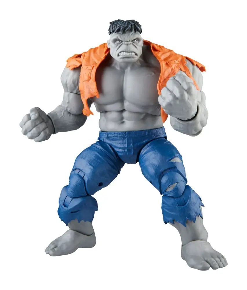 Avengers Marvel Legends akcijske figure Gray Hulk & Dr. Bruce Banner 15 cm fotografija proizvoda