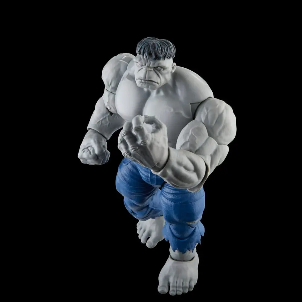 Avengers Marvel Legends akcijske figure Gray Hulk & Dr. Bruce Banner 15 cm fotografija proizvoda