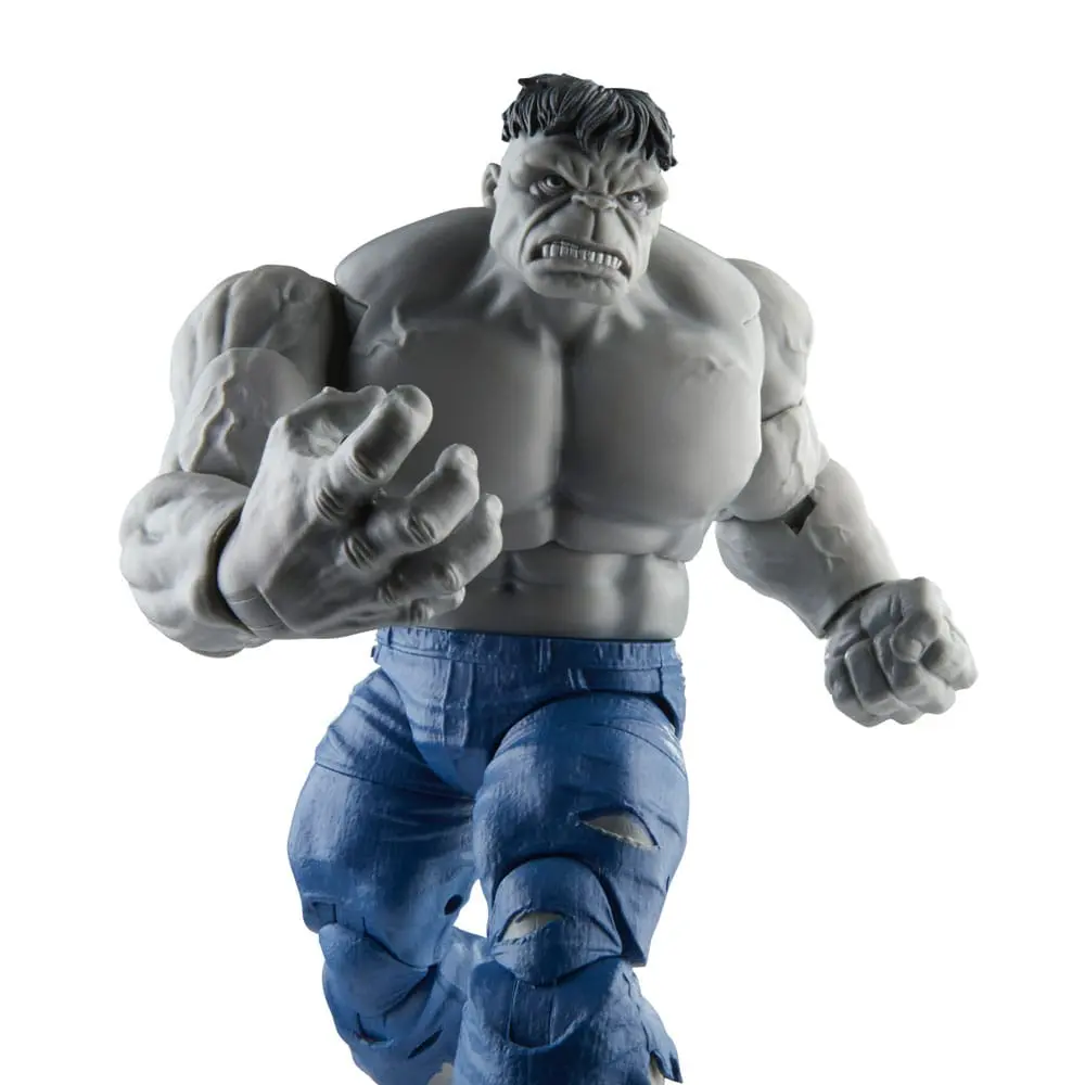 Avengers Marvel Legends akcijske figure Gray Hulk & Dr. Bruce Banner 15 cm fotografija proizvoda