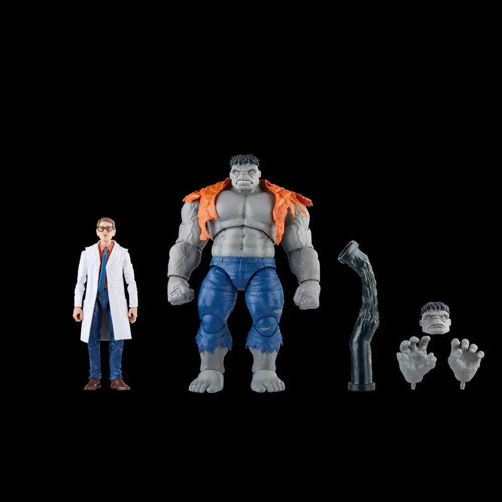 Avengers Marvel Legends akcijske figure Gray Hulk & Dr. Bruce Banner 15 cm fotografija proizvoda