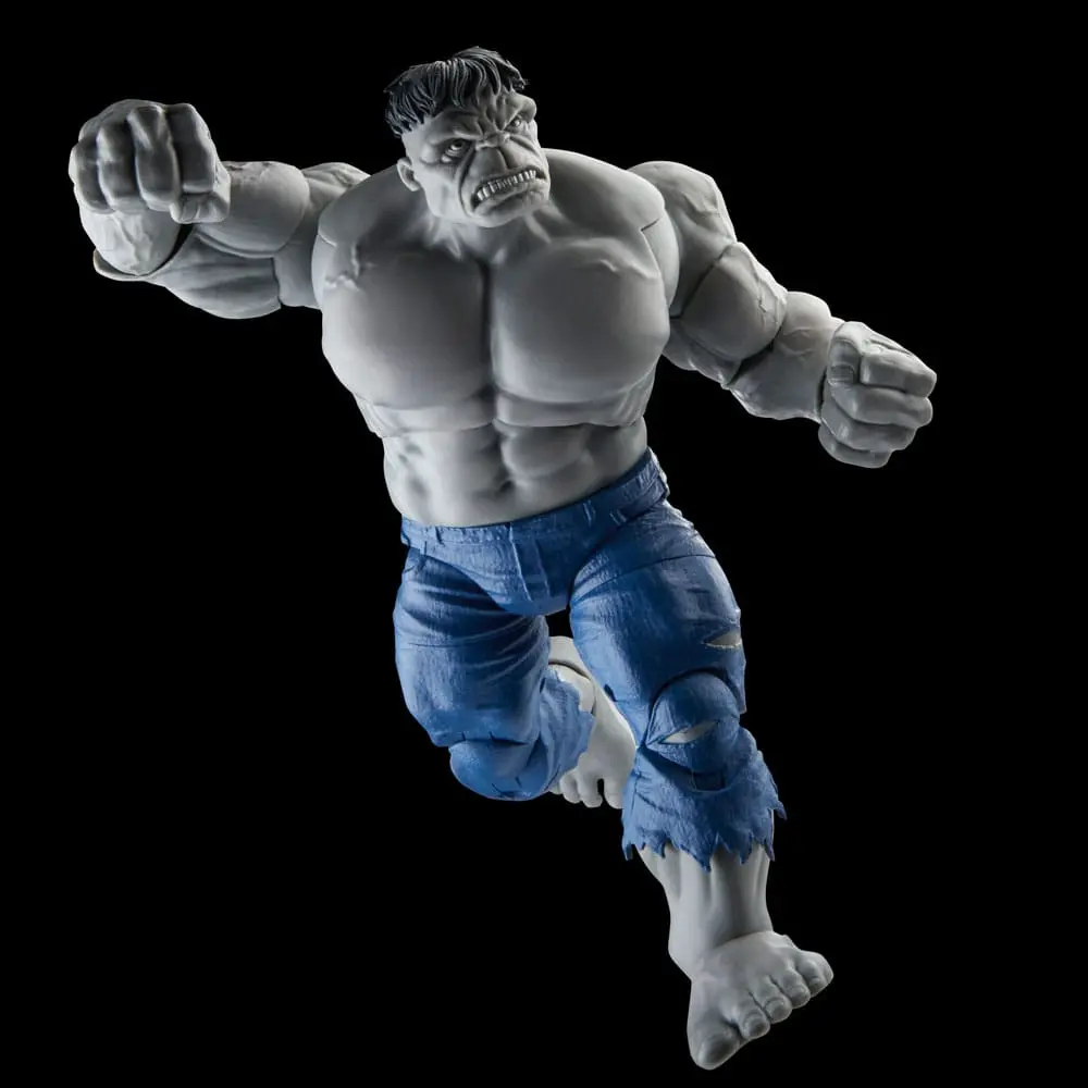 Avengers Marvel Legends akcijske figure Gray Hulk & Dr. Bruce Banner 15 cm fotografija proizvoda