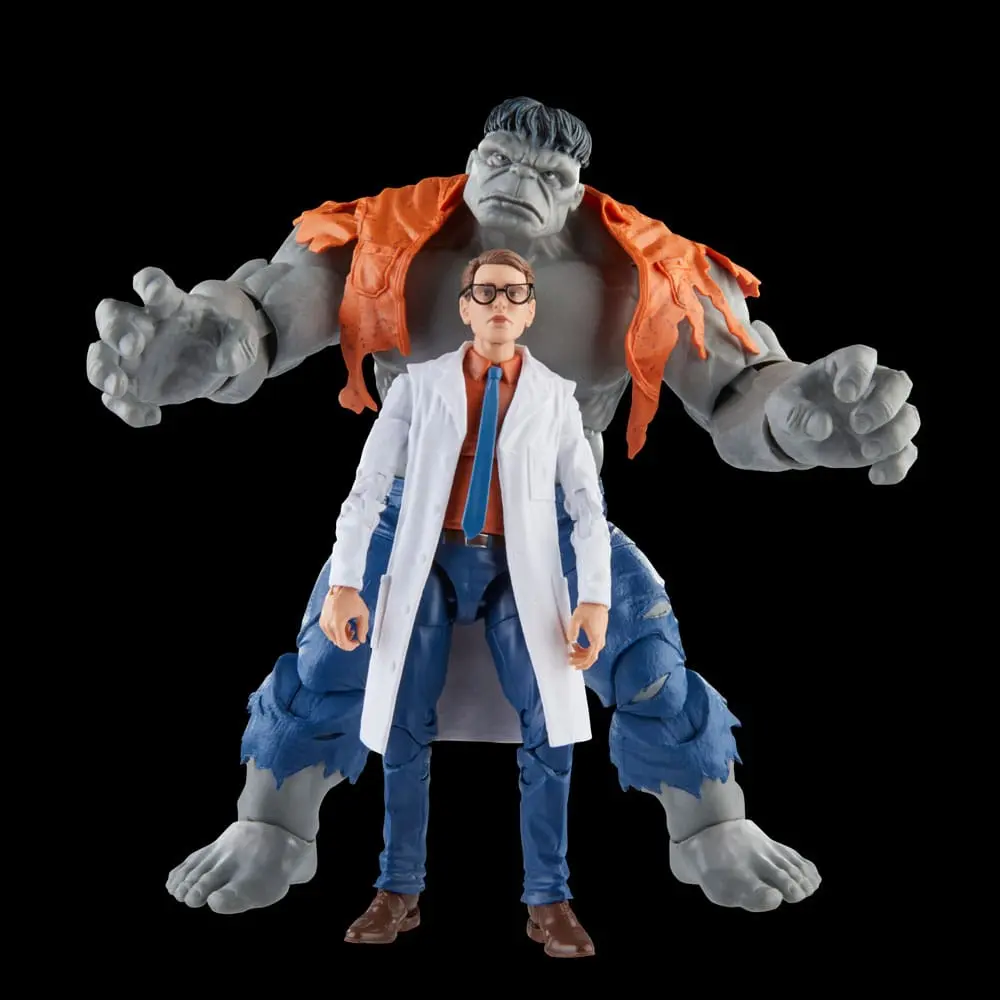 Avengers Marvel Legends akcijske figure Gray Hulk & Dr. Bruce Banner 15 cm fotografija proizvoda