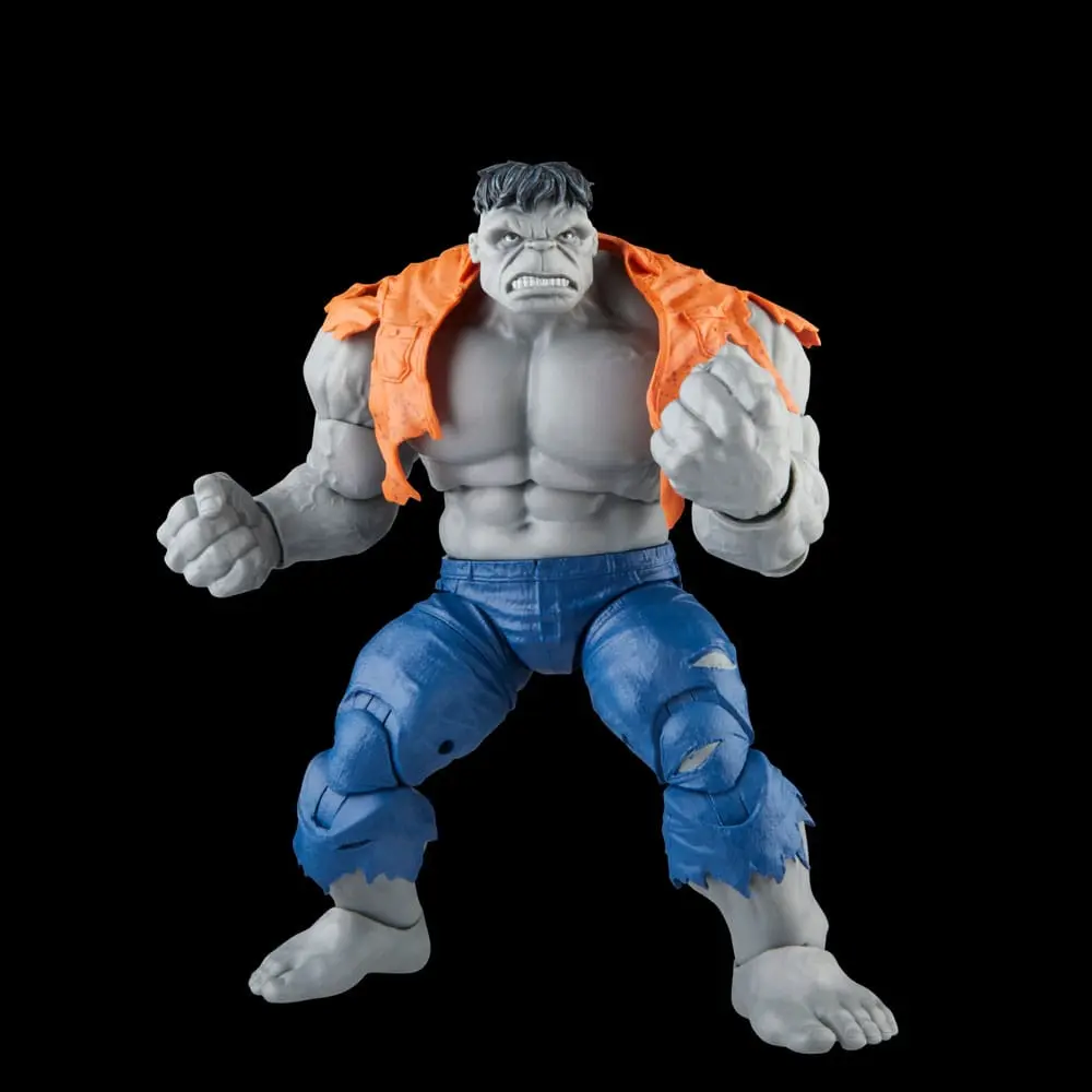 Avengers Marvel Legends akcijske figure Gray Hulk & Dr. Bruce Banner 15 cm fotografija proizvoda