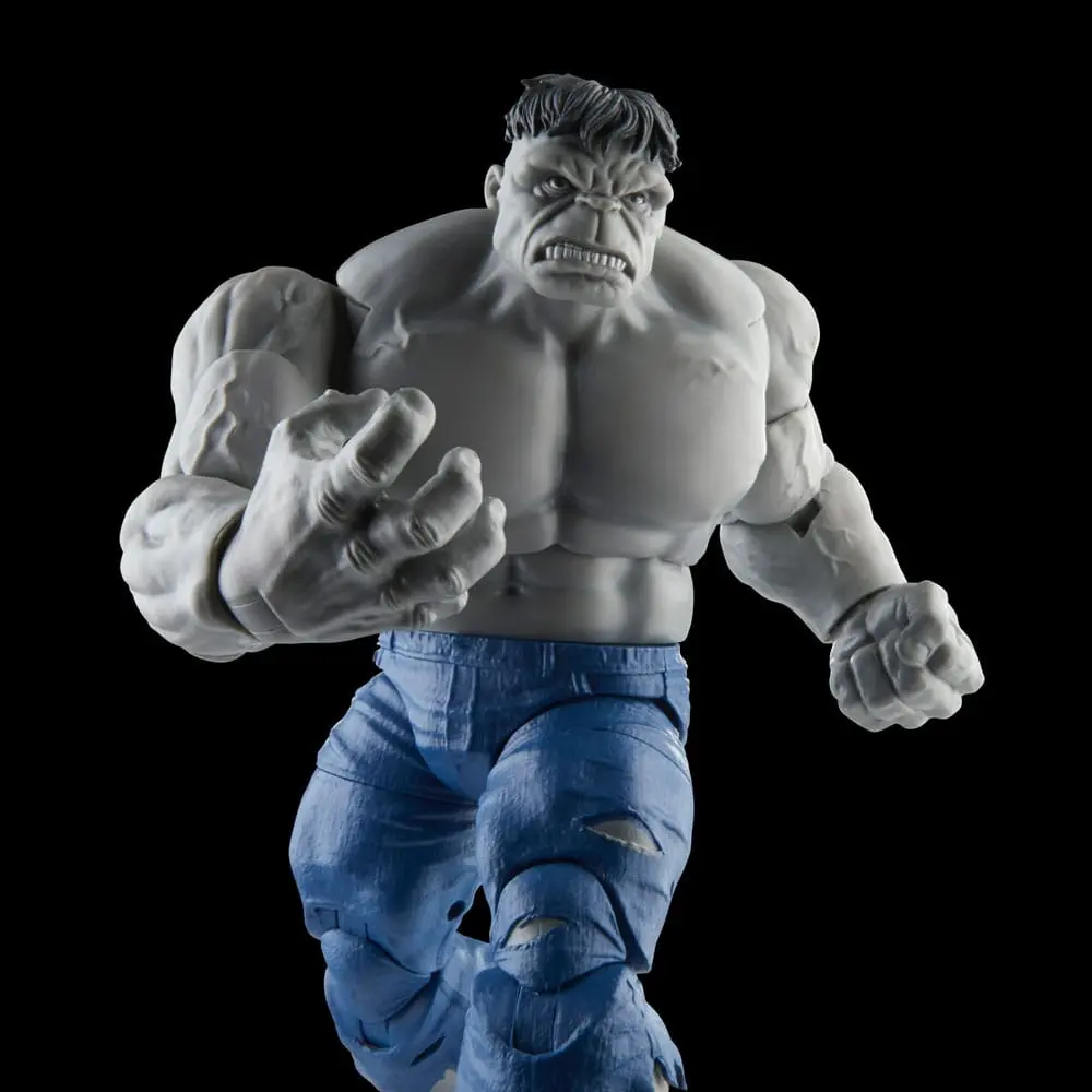 Avengers Marvel Legends akcijske figure Gray Hulk & Dr. Bruce Banner 15 cm fotografija proizvoda