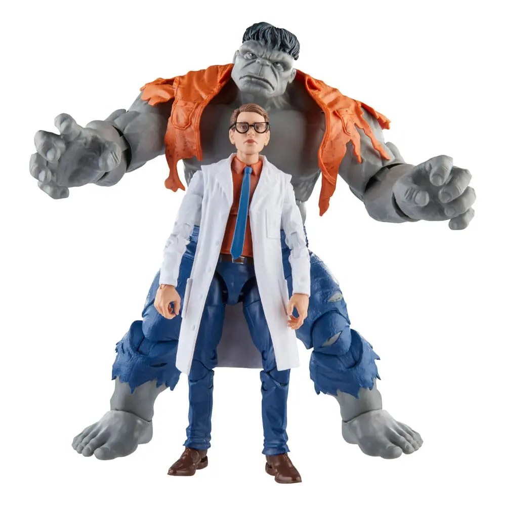 Avengers Marvel Legends akcijske figure Gray Hulk & Dr. Bruce Banner 15 cm fotografija proizvoda