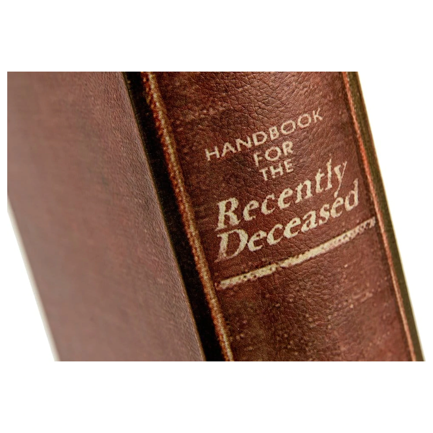 Beetlejuice replika Box Handbook za Recently Deceased kutija za pohranu fotografija proizvoda