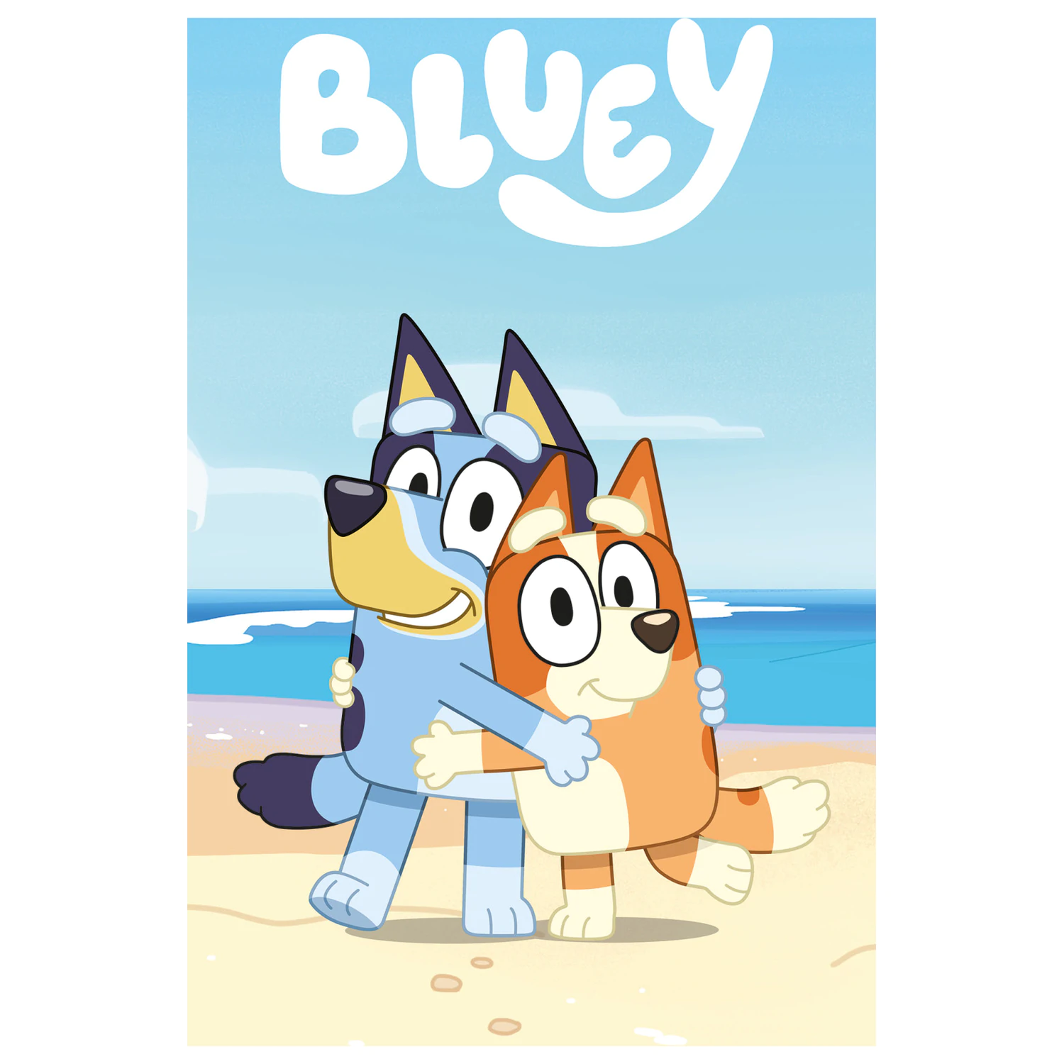 Bluey Cozy flis deka fotografija proizvoda