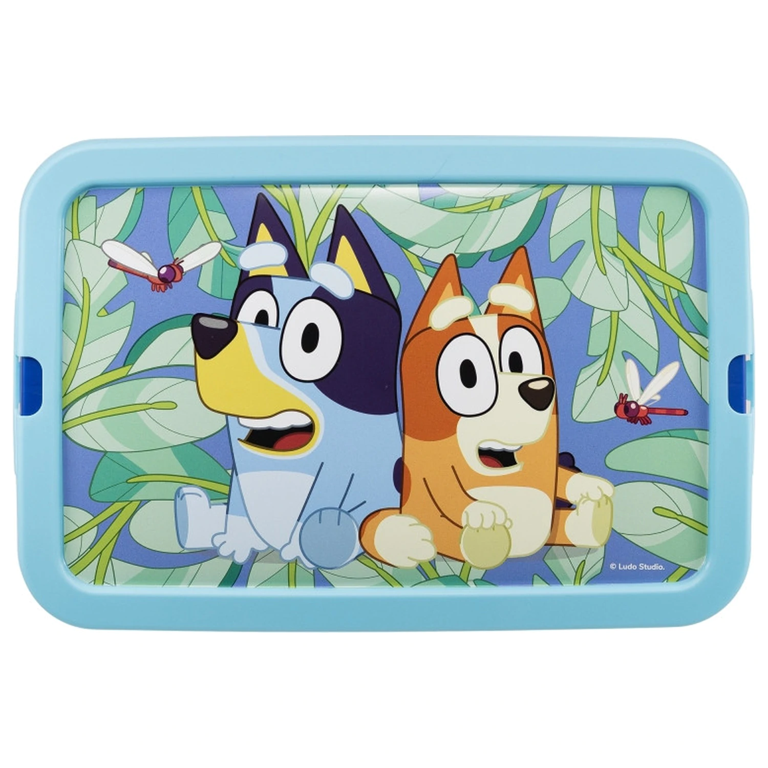 Bluey Leaves plastična kutija za pohranu 7 L fotografija proizvoda
