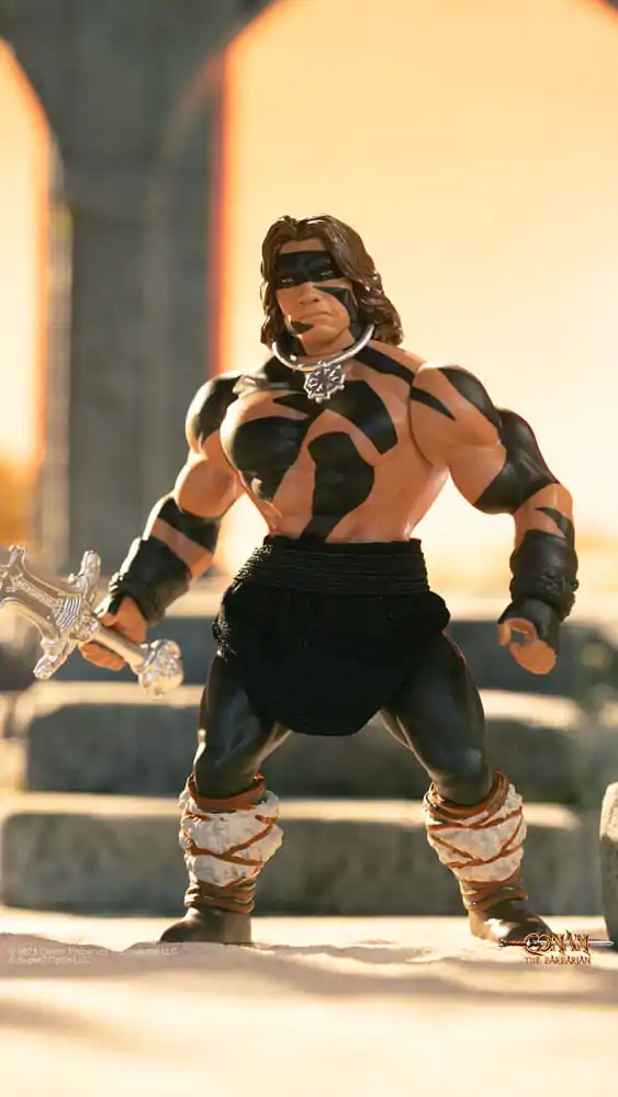 Conan the Barbarian 1982 Vintage Collection akcijska figura Wave 1 Conan Warpaint Ver. 14 cm fotografija proizvoda