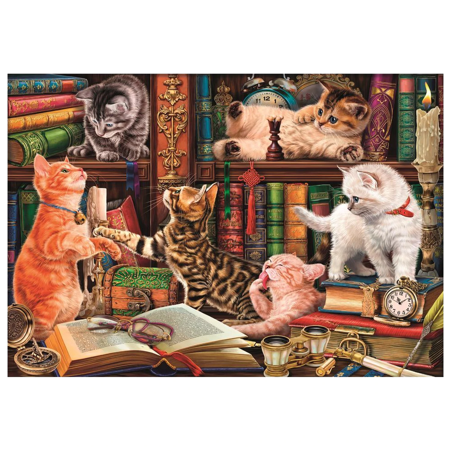 Curious Whiskers puzzle 1000 komada fotografija proizvoda