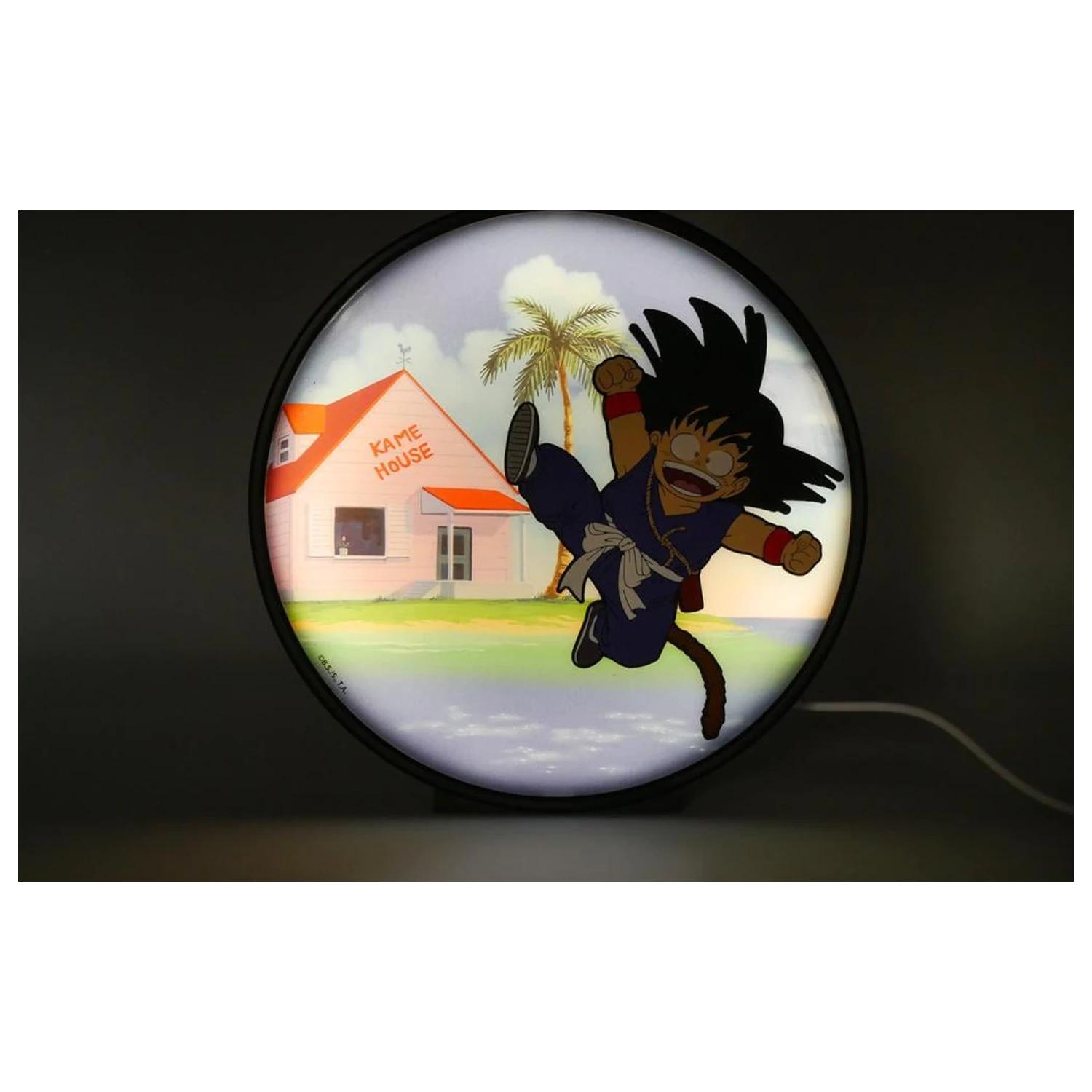 Dragon Ball Goku Kame House Svjetleći  fotografija proizvoda