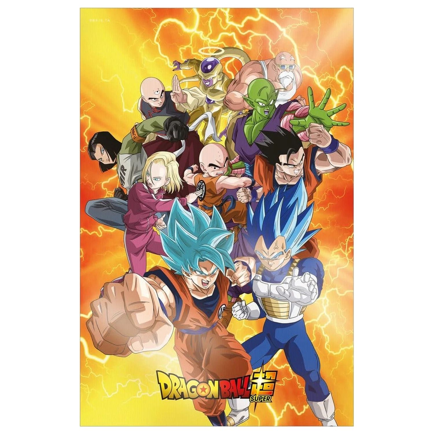 Dragon Ball Super 3D Poster Survival Heroes 38 x 58 cm fotografija proizvoda