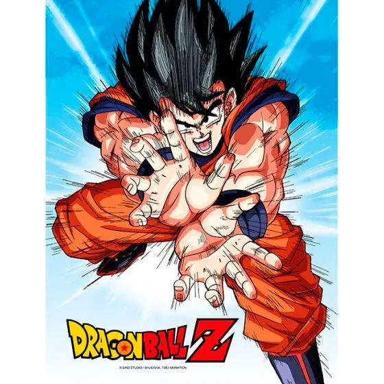 Dragon Ball Z Goku Kame stakleni poster fotografija proizvoda