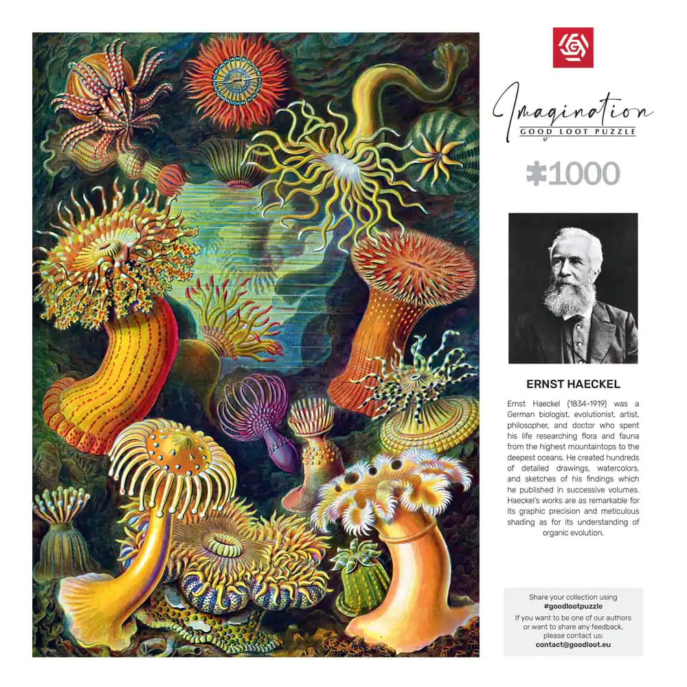 Ernst Haeckel Imagination Puzzle Morske Anemone/Stworzenia morskie (1000 dijelova) fotografija proizvoda