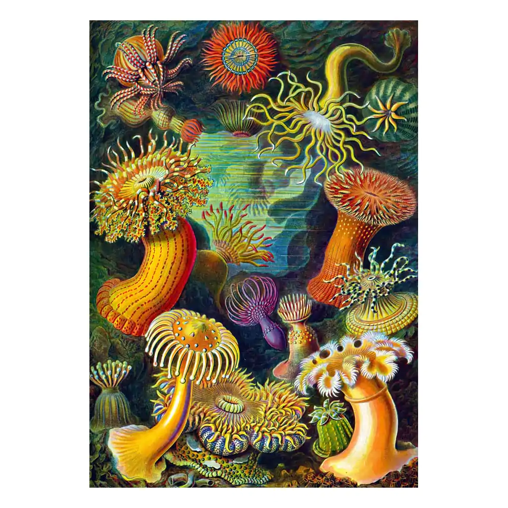 Ernst Haeckel Imagination Puzzle Morske Anemone/Stworzenia morskie (1000 dijelova) fotografija proizvoda