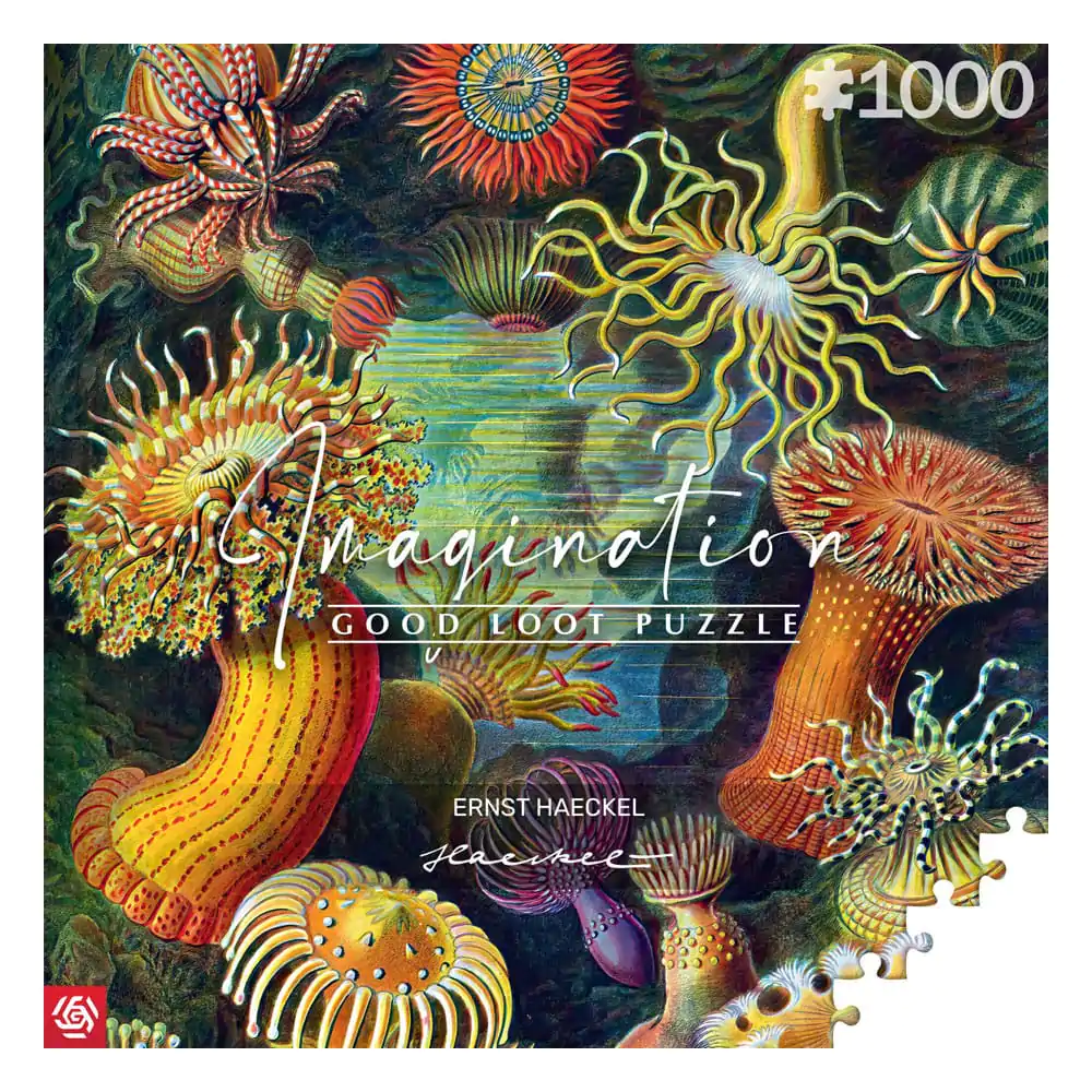 Ernst Haeckel Imagination Puzzle Morske Anemone/Stworzenia morskie (1000 dijelova) fotografija proizvoda