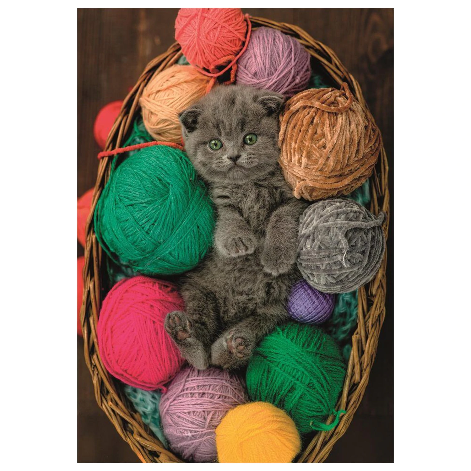 Fluffy Kitten puzzle 500 komada fotografija proizvoda