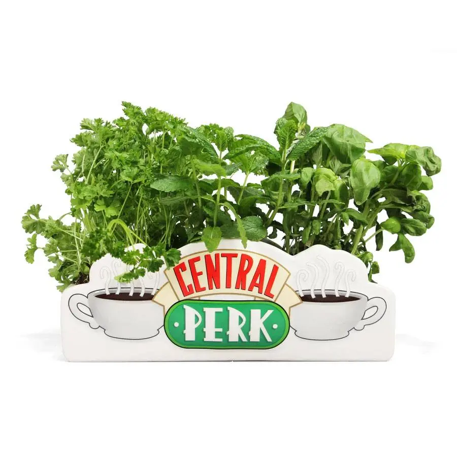 Friends stolna vaza Central Perk fotografija proizvoda