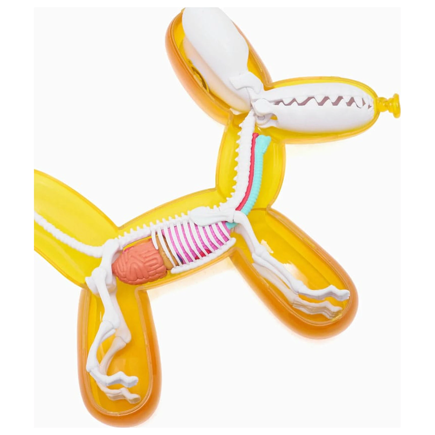 Funny Anatomy Honey Edition Statua psa balona fotografija proizvoda