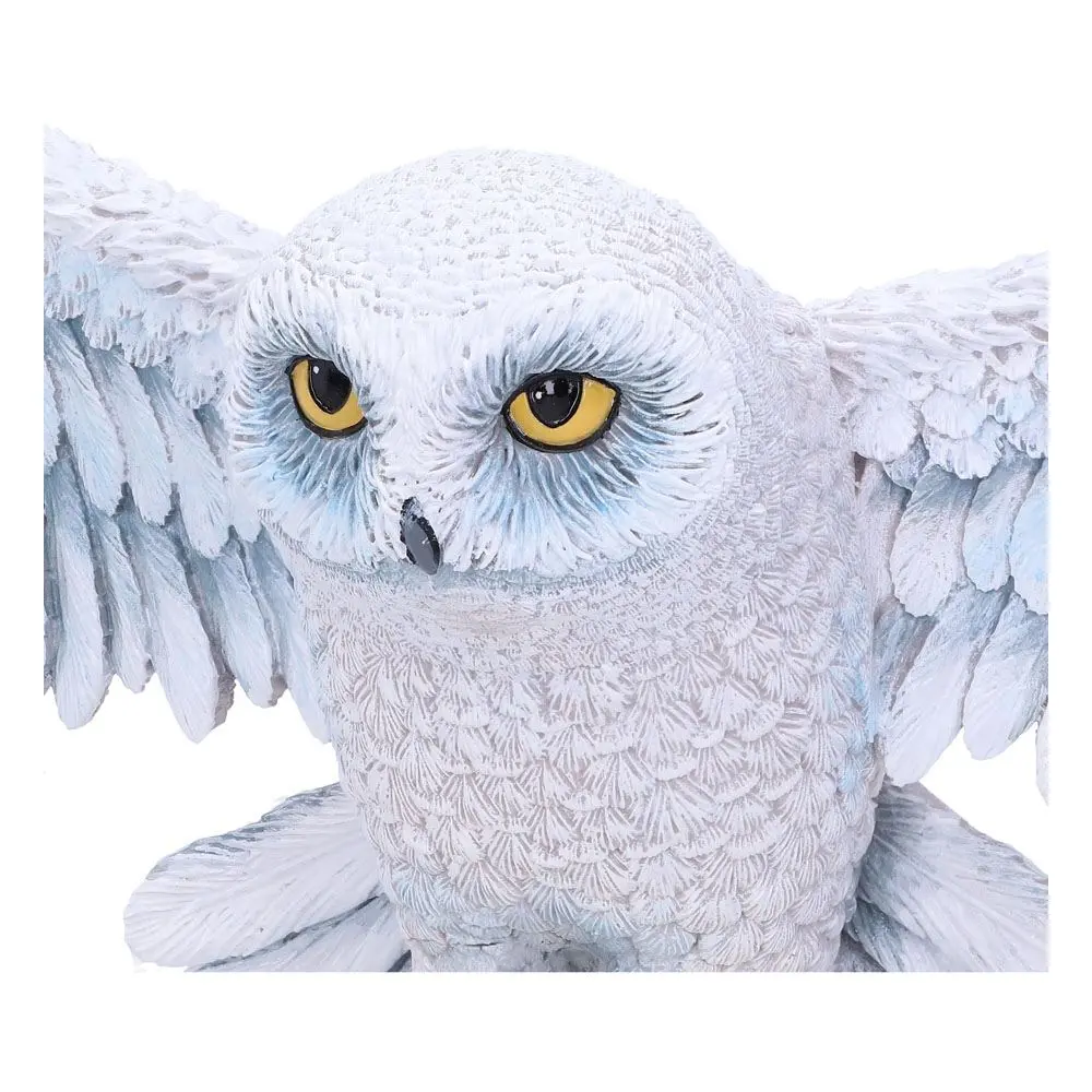 Harry Potter Zidna plaketa Hedwig 45 cm fotografija proizvoda
