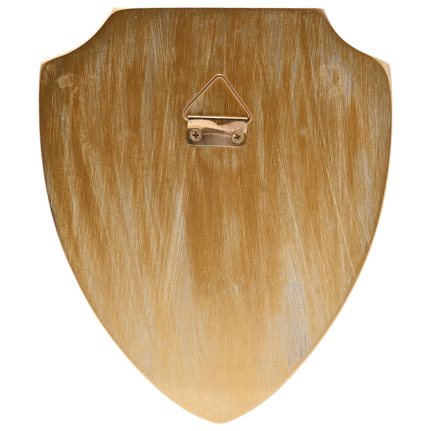 Harry Potter Hogwarts Crest 3D zidni štit fotografija proizvoda