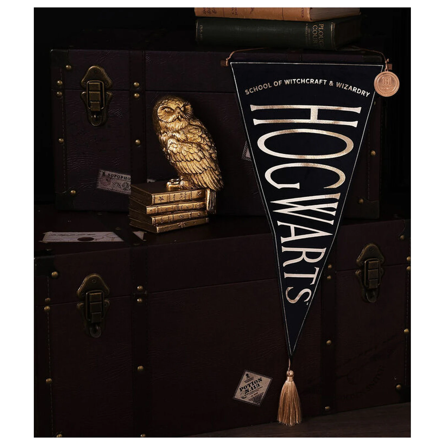 Harry Potter Hogwarts viseći banner fotografija proizvoda