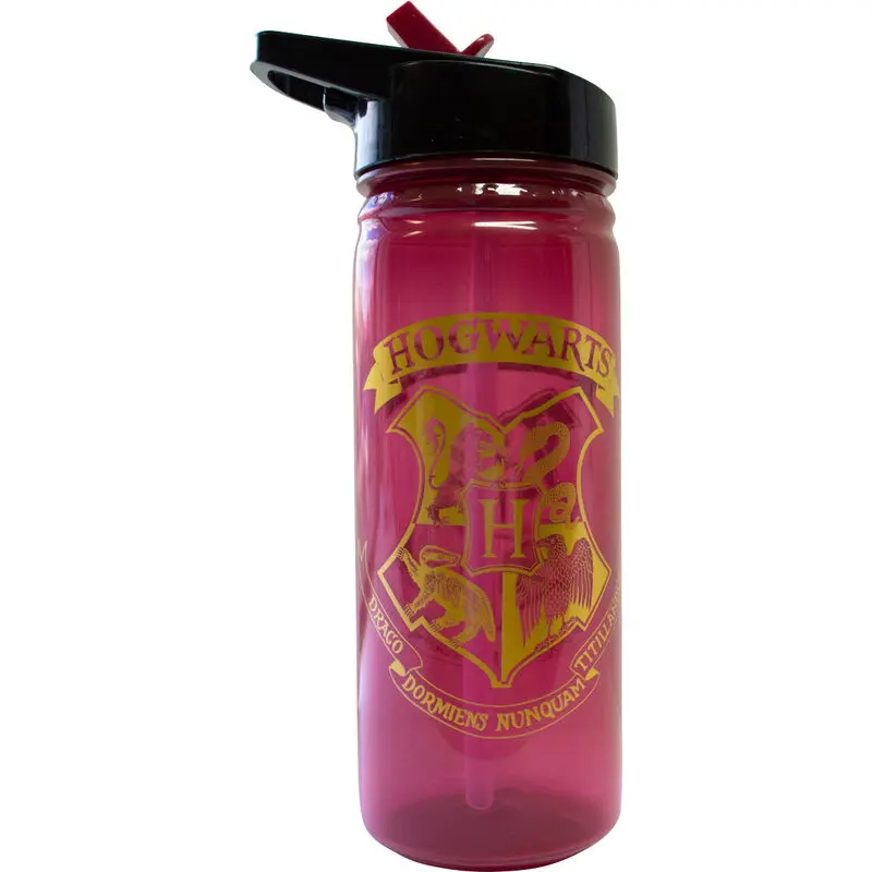 Harry Potter Hogwarts boca 600ml fotografija proizvoda