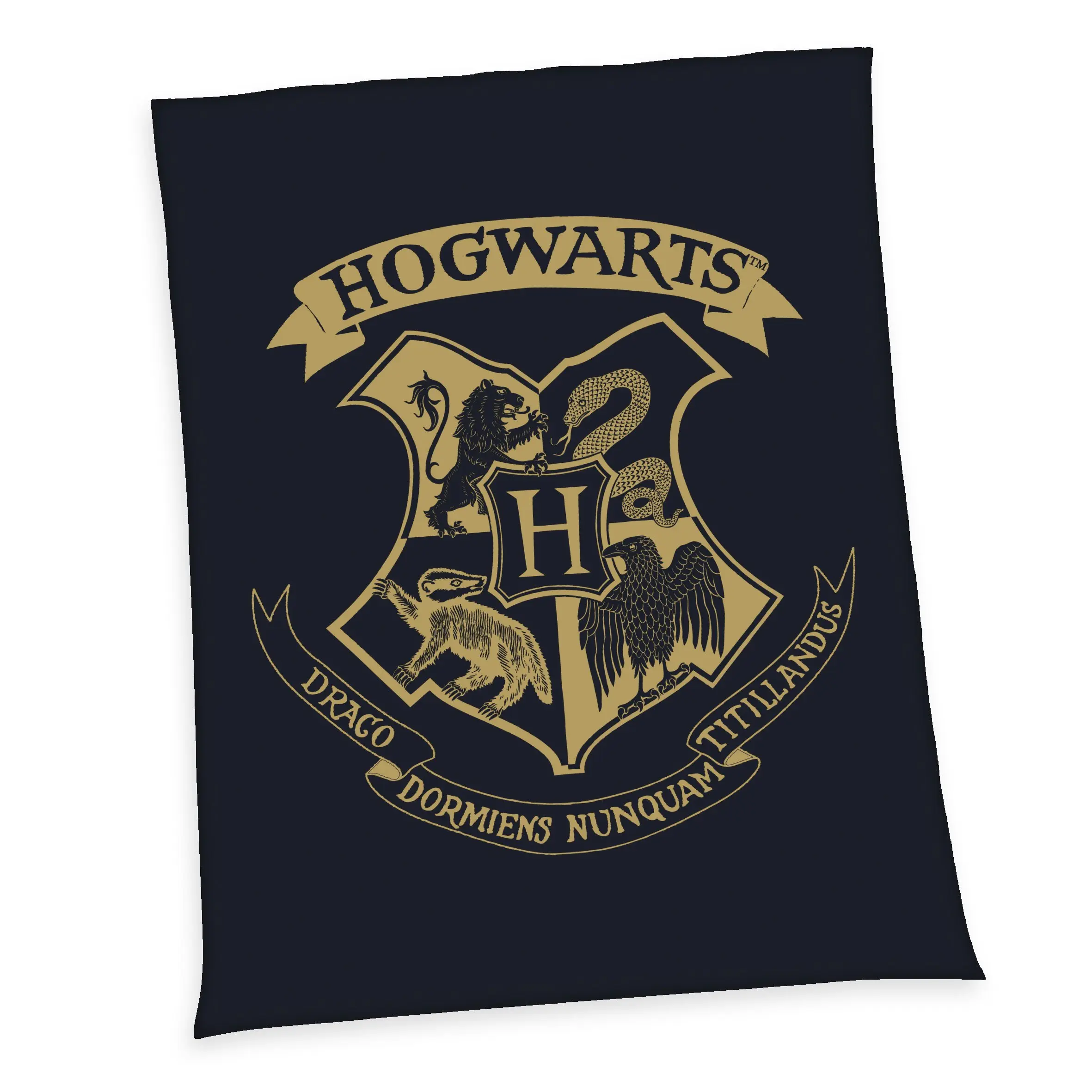 Harry Potter Fleece Deka Hogwarts 150 x 200 cm fotografija proizvoda