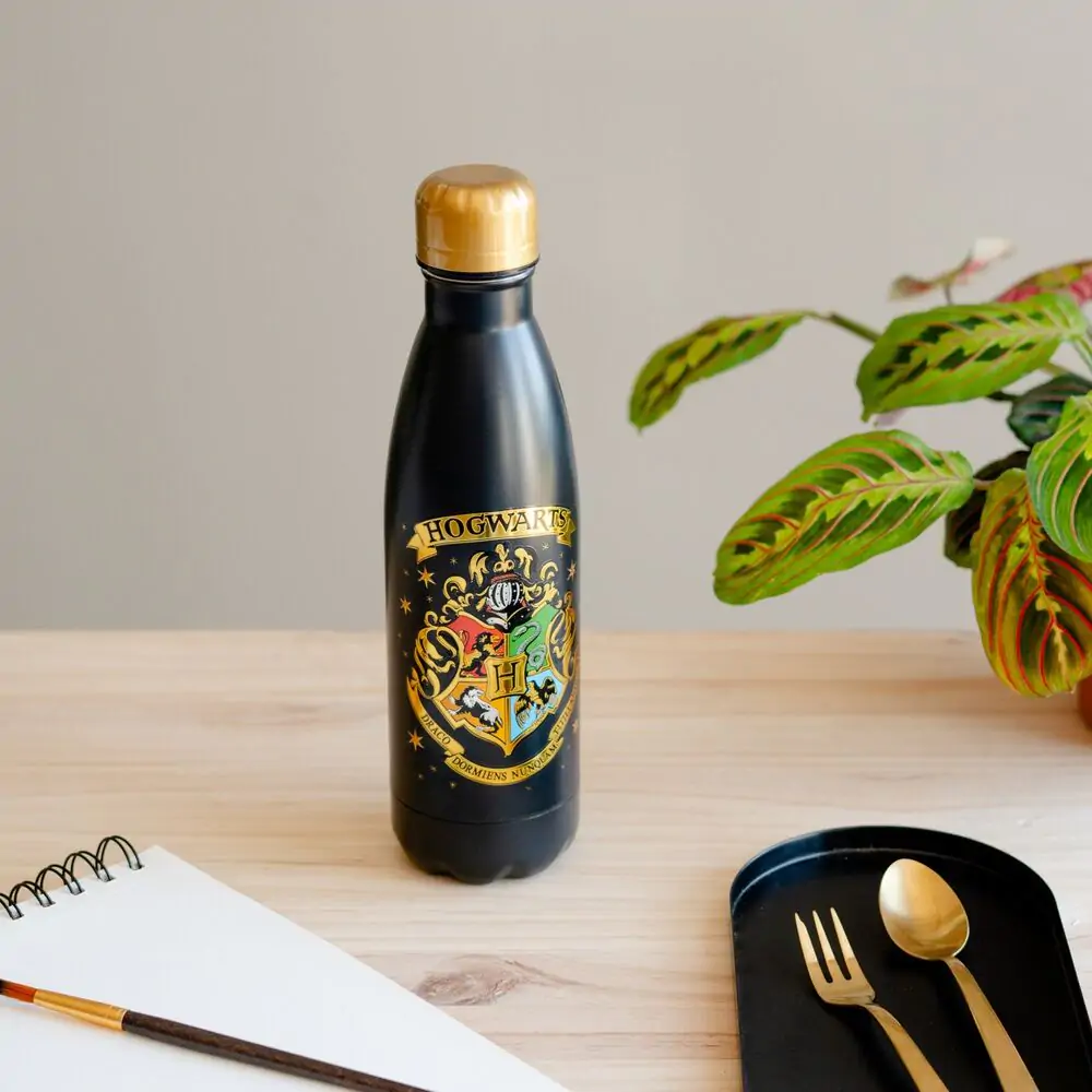 Harry Potter Hogwarts boca od nehrđajućeg čelika 500 ml fotografija proizvoda