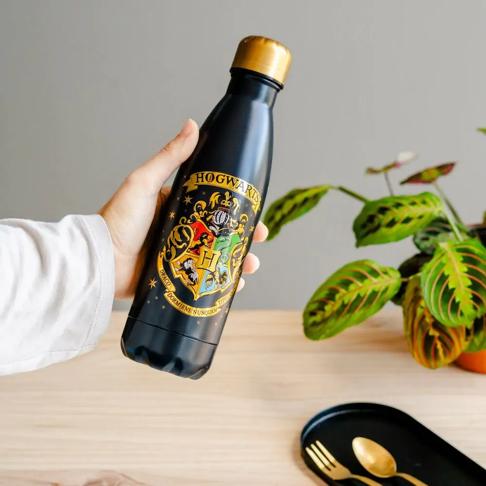 Harry Potter Hogwarts boca od nehrđajućeg čelika 500 ml fotografija proizvoda