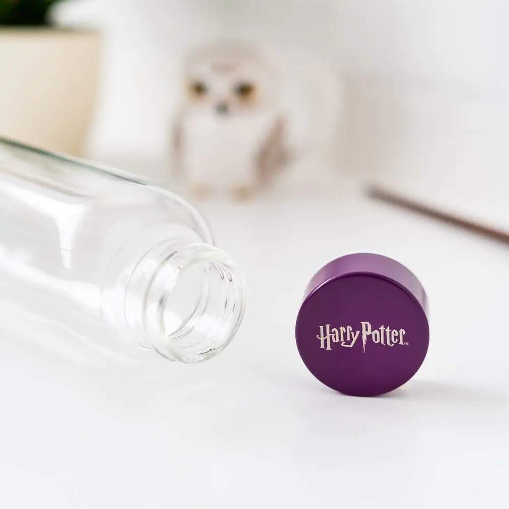 Harry Potter Hogwarts staklena boca 500 ml fotografija proizvoda