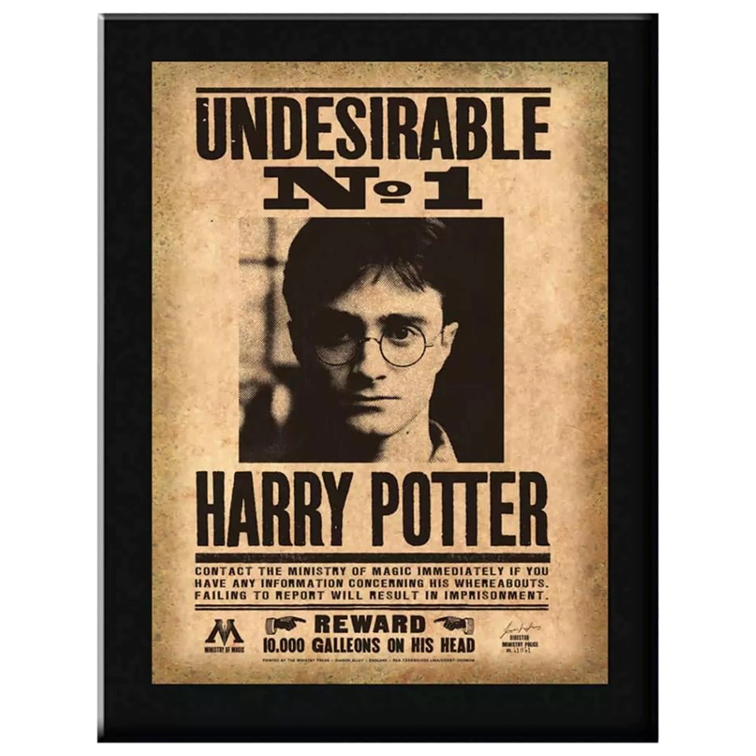 Harry Potter Indesirable N°1 zidna plaketa fotografija proizvoda