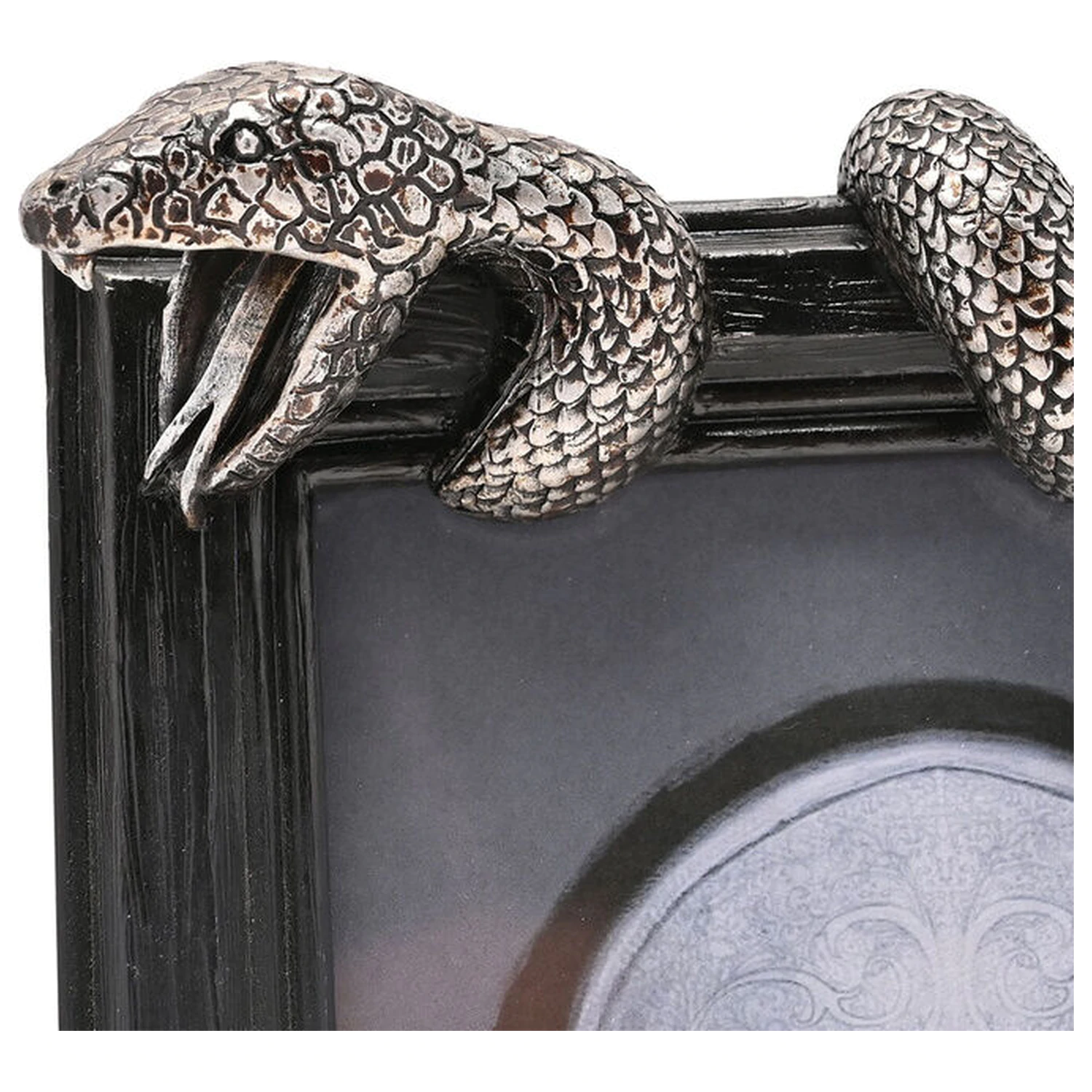 Harry Potter Nagini okvir za fotografije fotografija proizvoda