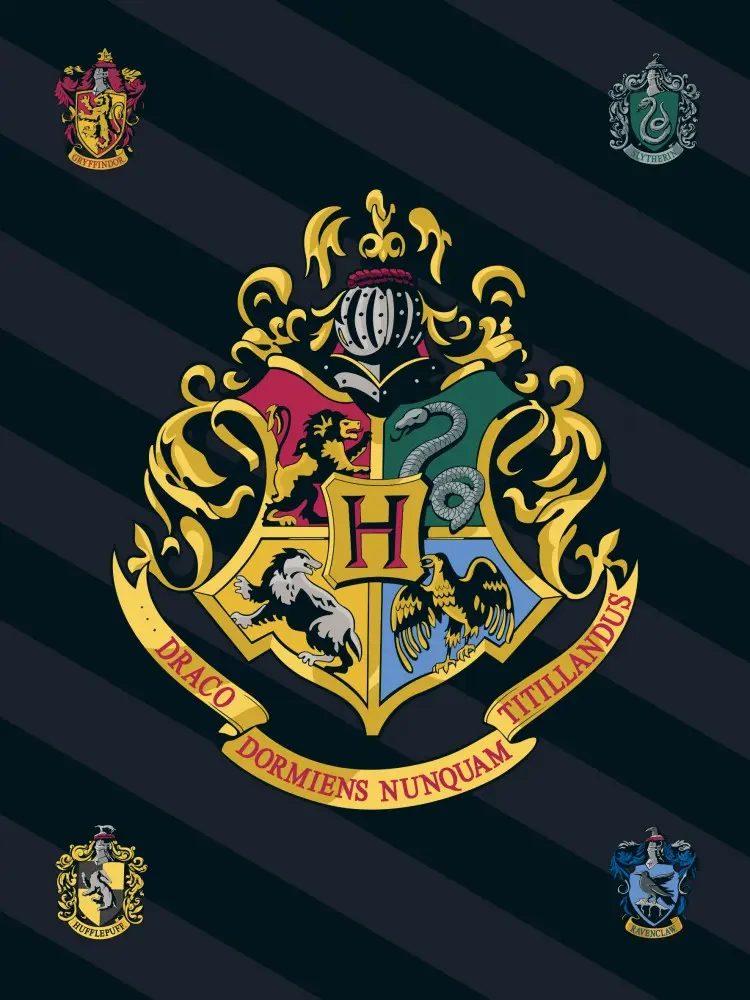 Harry Potter deka od flisa 100x140 cm fotografija proizvoda