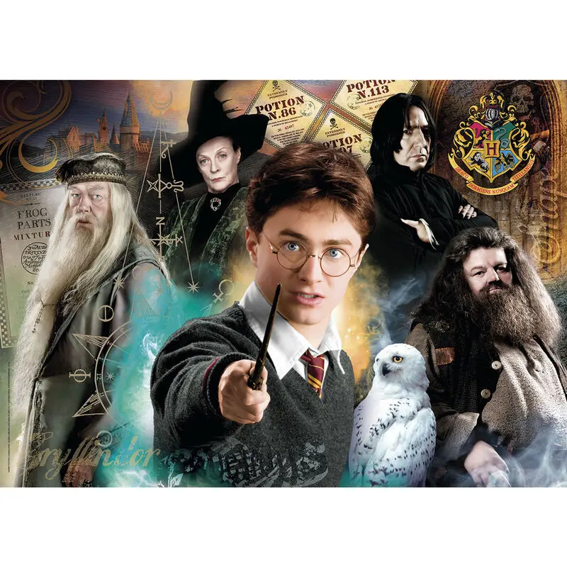 Harry Potter Jigsaw Puzzle Harry at Hogwarts (500 dijelova) fotografija proizvoda